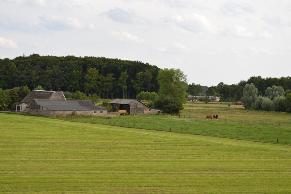 DSC_0905