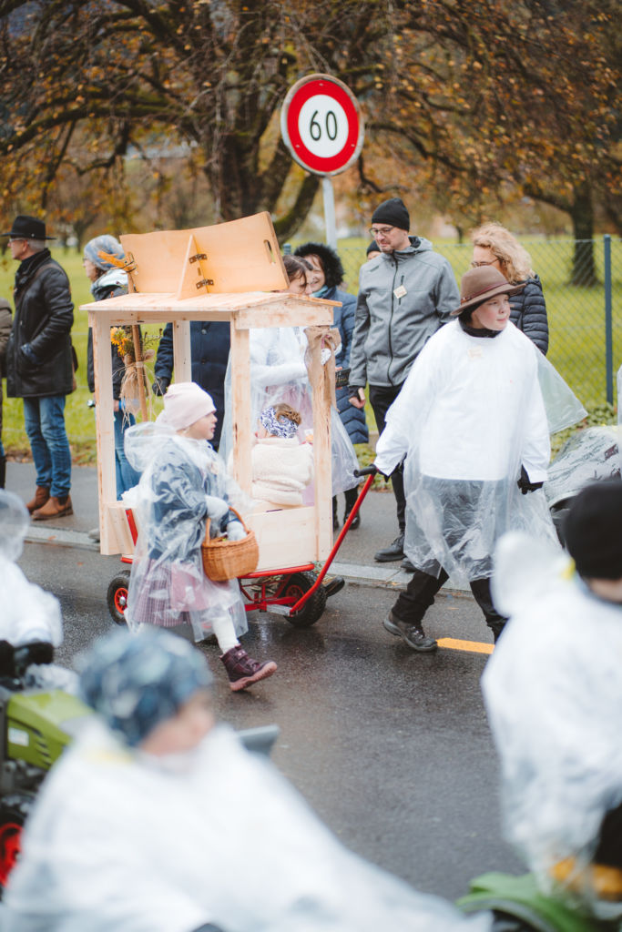 Sännächilbi Arth 12.112023-124